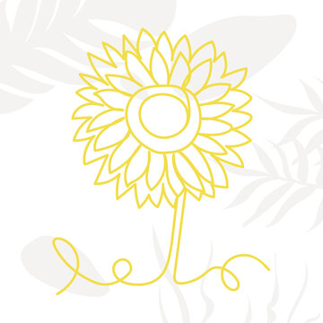 sunflower in one line, outline on an abstract background, vector, isolated