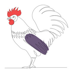rooster in one line, contour, vector, isolated