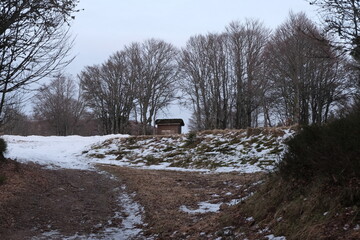 Natural variety that is observable in Vosges Valley forest, France, during winter.
It gathers a great variety of settings, vegetation, rocks, snow, uprooted trees, and more.