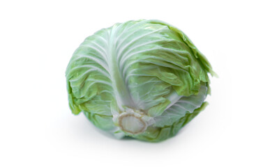 Fototapeta premium Fresh cabbage vegetable isolated on white background. Concept : organic healthy food ingredient for cooking that can cook for variety menu. Agriculture crop from Thailand. 