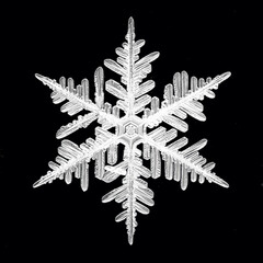 black background snowflake isolated, abstract object winter detail