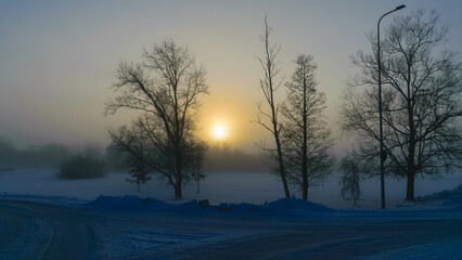 beautiful fog morning, sun through fog, silhouettes of trees and branches, winter landscape,...