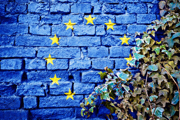 European Union grunge flag on brick wall with ivy plant