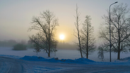 beautiful fog morning, sun through fog, silhouettes of trees and branches, winter landscape, blurred smoky fog background