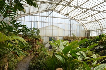 Fototapeta premium Greenhouse