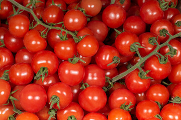 Pomodorini pachino