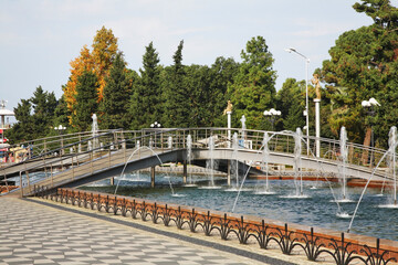 Fototapeta premium Light-musical fountain at Seaside park in Batumi. Autonomous Republic of Adjara. Georgia