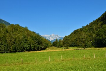 View of the peak of mountain Krn in Julian alps from Breginjski kot in Littoral region of Slovenia © kato08