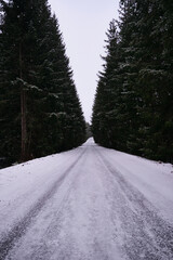 snow covered road