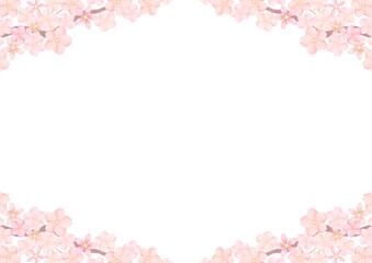 桜 さくら サクラ 背景 