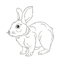 Easter. Linear rabbit image. 
Vector image, isolated. Coloring for children. Black and white image.