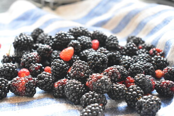 blackberry