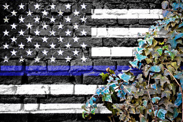 USA thin blue line grunge black and white flag on brick wall with ivy plant
