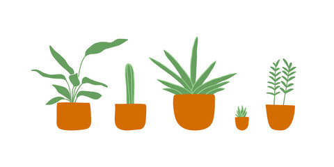 Green potted house plants, hand drawn