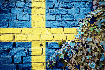 Swedish grunge flag on brick wall with ivy plant