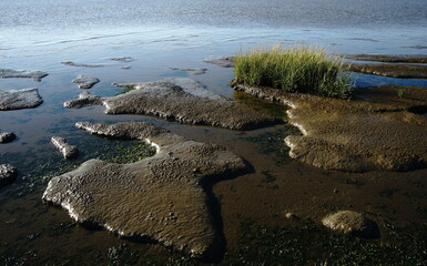 wadden sea,wattenmeer