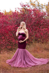 beautiful pregnant blonde woman with long hair in a purple long dress on the background of an autumn forest