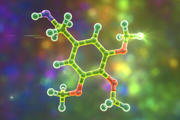 Mescaline molecule, a natural hallucinogenic substance present in the flesh of several cacti