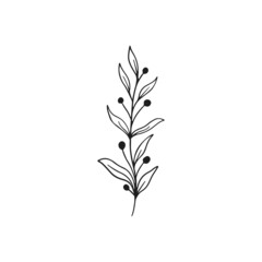 Herbs icon vector set. herbarium illustration sign collection. herb symbol. plant logo.