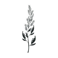 Fototapeta na wymiar Herbs icon vector set. herbarium illustration sign collection. herb symbol. plant logo.
