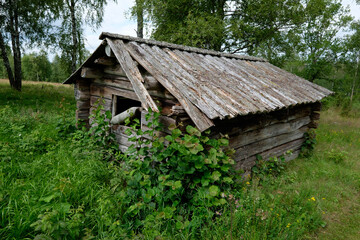 old wooden house in the forest