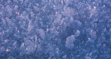 Frosty winter garden macro. Cold weather background concept. Frozen grass on the meadow with copy space