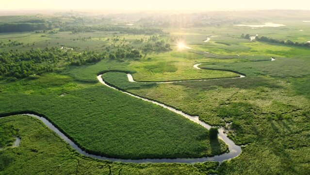 Picturesque winding river in lush wetlands from a bird's eye view. Filmed in 4k, drone video.