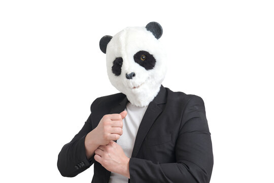 Man wearing a panda mask head and a suit, isolated