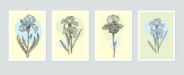 Fototapeta na wymiar Irises botanical wall art vector. Sketch boho foliage line art drawing with abstract shape. Draw plant art design for print, cover, wallpaper, minimal and natural wall art.