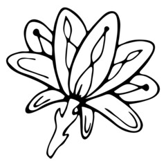 Abstract doodle flower. Hand-drawn outline of a fantasy flower.