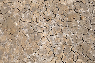 Dried soil with clay with cracks in the desert as a background