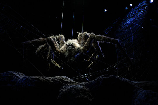 Spider at the Making of Harry Potter Studio Tour in Leavesden, UK