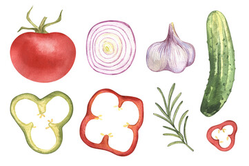 Eco food set menu background. Watercolor hand drawn vegetables, garlic, cucumber, salad, tomato, pepper, organic, avocado, leaves, onion. Isolated elements. For restaurant, kitchen, textile, fabric.