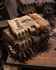 Fototapeta premium Monster Book of Monsters at the Making of Harry Potter Studio Tour in the UK