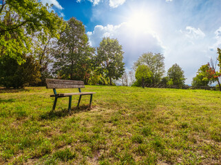 Bench in a park in a sunny day