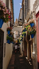 Calleja de las Flores, small alley with shops decorated with flowers. Popular tourist destination in downtown Cordoba, Andalusia, Spain 