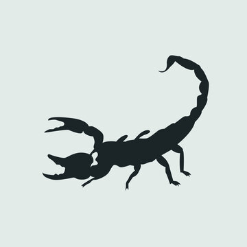 Scorpion vector silhouette, illustration, vector icon.