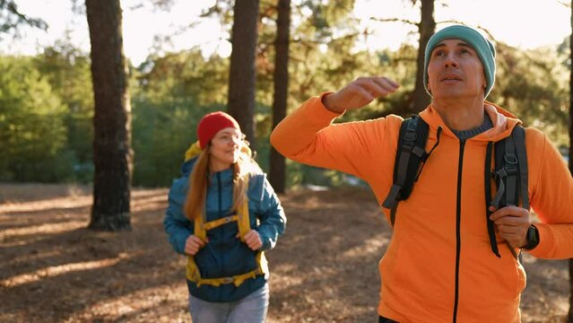 Teamwork. a group of unity hikers tourists walk through the forest with backpacks. team travel together business teamwork concept. man and woman hikers walking through the woods. hiker in the woods