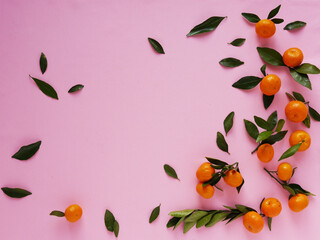 Composition of small tangerines with leaves on a pink background. Pattern of fruits, top view, flat lay.