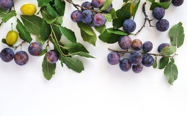 Frame of fresh plums on branches with leaves isolated on white background. Creative flat layout,...