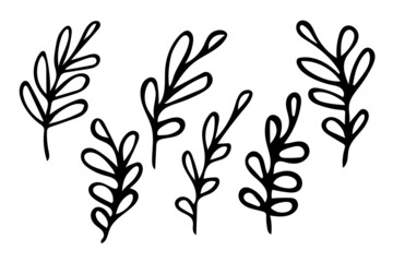 Set of hand drawn outline leaves, black botanical illustrations isolated on white background. Doodle drawing