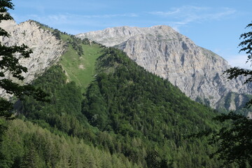 Obraz premium Natural variety found in Vercors valley, France. All the diversity of plant strata observed as you climb up in altitude.