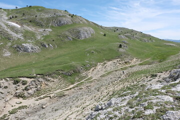 Natural variety found in Vercors valley, France.
All the diversity of plant strata observed as you...