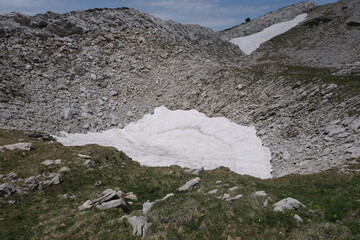 Natural variety found in Vercors valley, France.
All the diversity of plant strata observed as you...