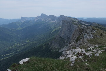 Natural variety found in Vercors valley, France.
All the diversity of plant strata observed as you...