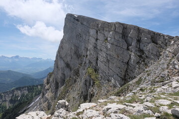 Natural variety found in Vercors valley, France.
All the diversity of plant strata observed as you...