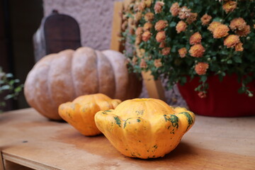 beautiful ribbed orange pumpkins in autumn decor on the city streets