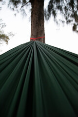 umbrella in the garden
