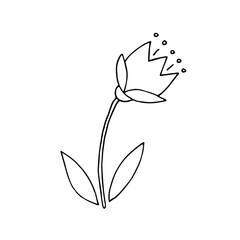 Meadow flower. Tulip. Bell. Flower. Plant. Wild flower. Ethnoscience. Doodle. Vector. Drawn by hand. Sketch. Silhouette. Black and white. Contour. Coloring