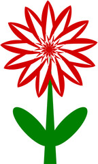 red flower on white background